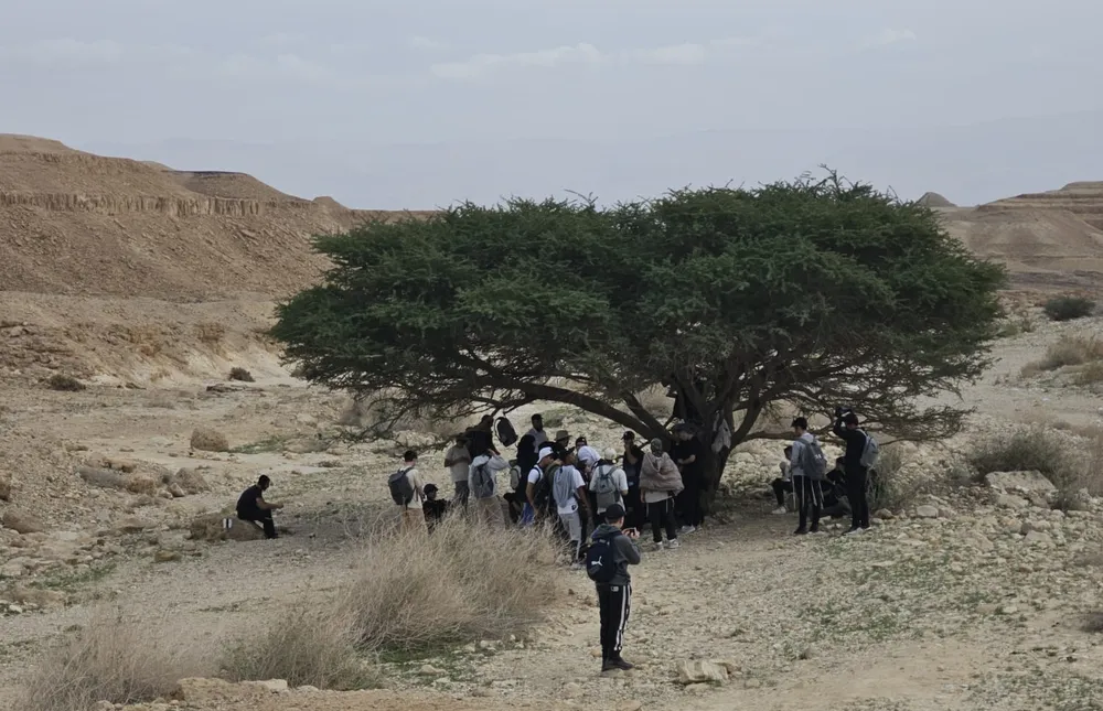 הליכה בין דיונות המדבר